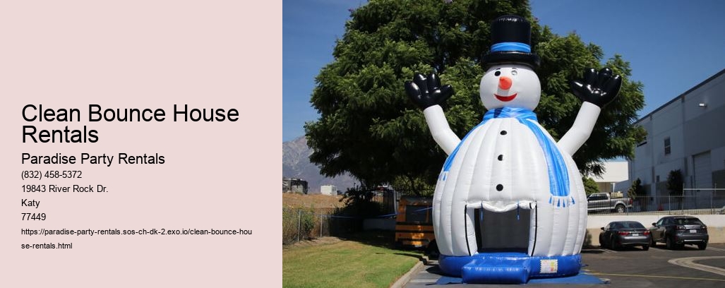 Clean Bounce House Rentals