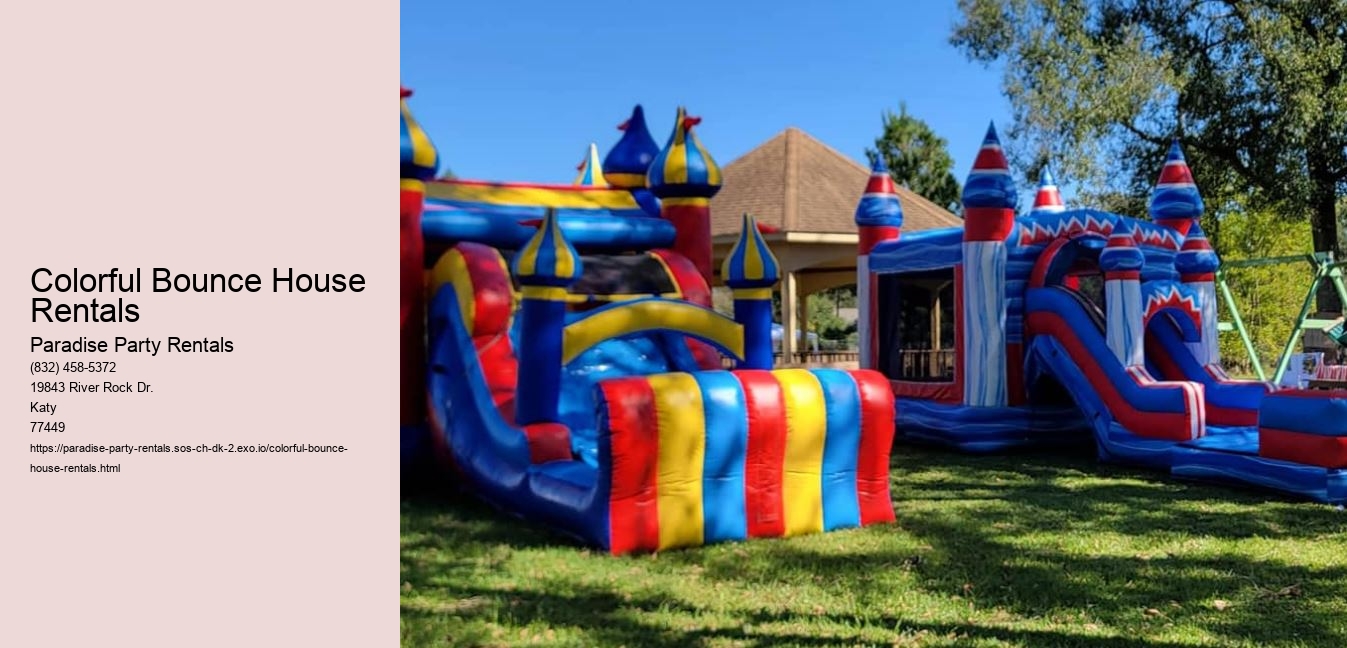 Colorful Bounce House Rentals